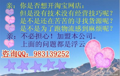 网店技术培训 掌握运营核心，优质货源助你轻松起航
