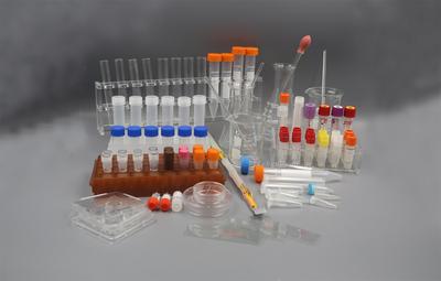 技术推广的重要性与策略