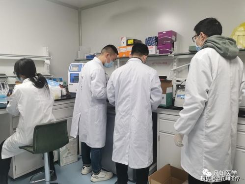 恭喜凡知医学荣获“专精特新”企业认定 技术创新引领行业推广