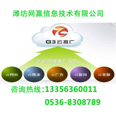 枣庄G3云推广 按需定制技术方案，成效显著